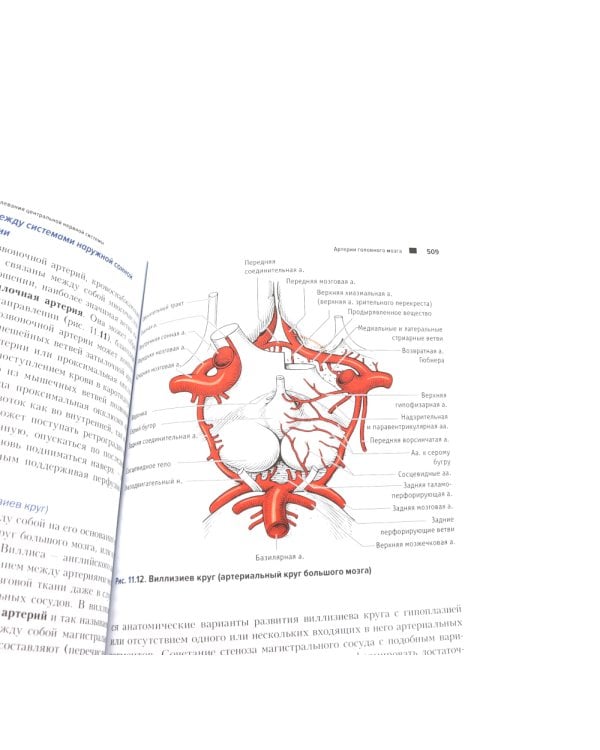 Топический диагноз в неврологии по Петеру Дуусу; Путеводитель по телу (комплект из 2-х книг)