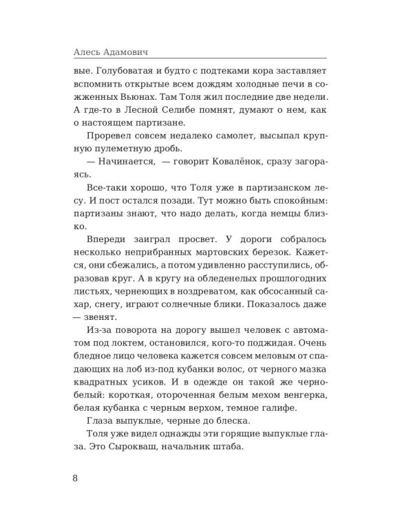 Партизаны. Сыновья уходят в бой