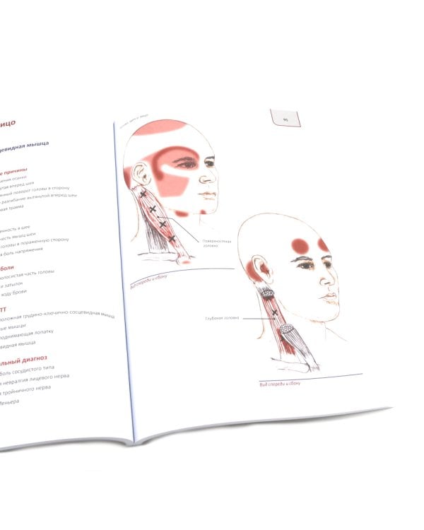 Топический диагноз в неврологии по Петеру Дуусу; Путеводитель по телу (комплект из 2-х книг)