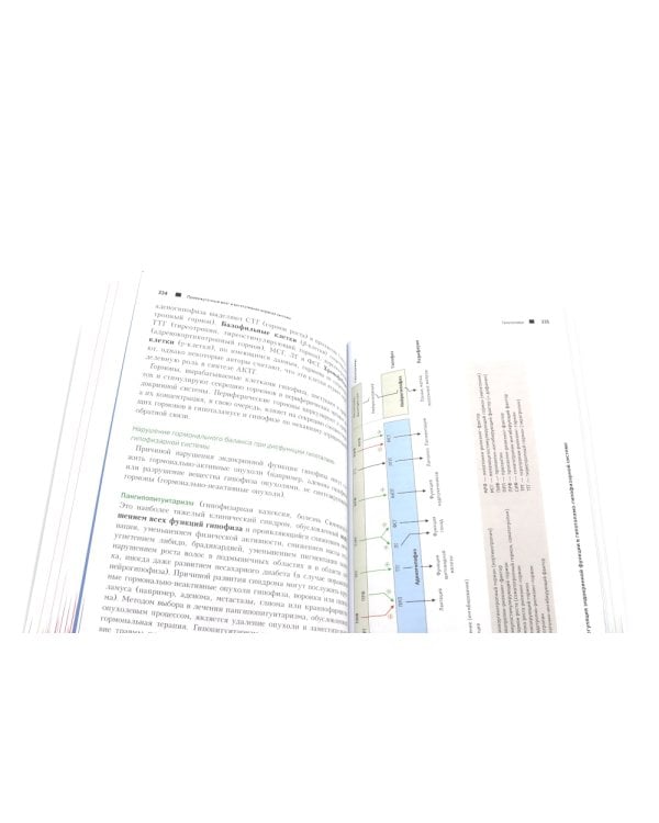 Топический диагноз в неврологии по Петеру Дуусу; Путеводитель по телу (комплект из 2-х книг)
