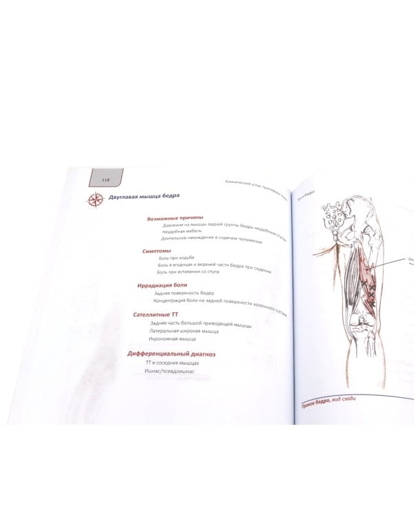 Топический диагноз в неврологии по Петеру Дуусу; Путеводитель по телу (комплект из 2-х книг)