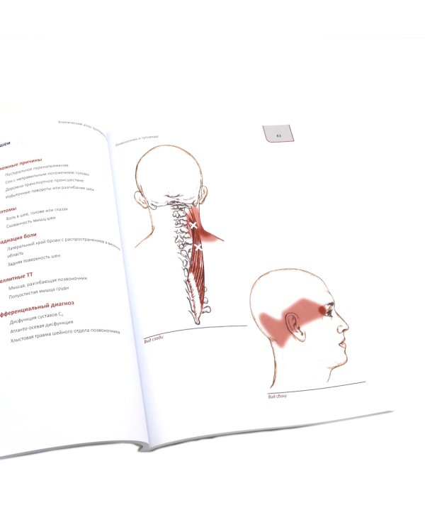 Топический диагноз в неврологии по Петеру Дуусу; Путеводитель по телу (комплект из 2-х книг)