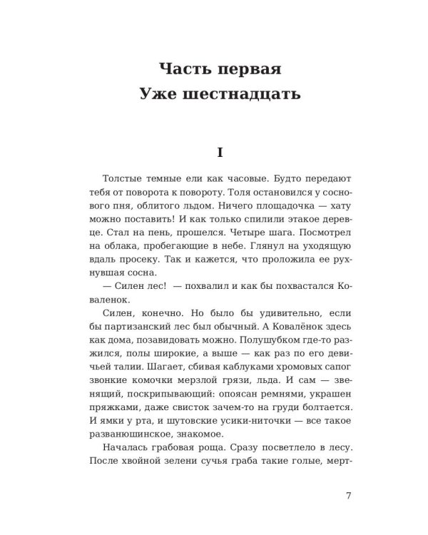 Партизаны. Сыновья уходят в бой