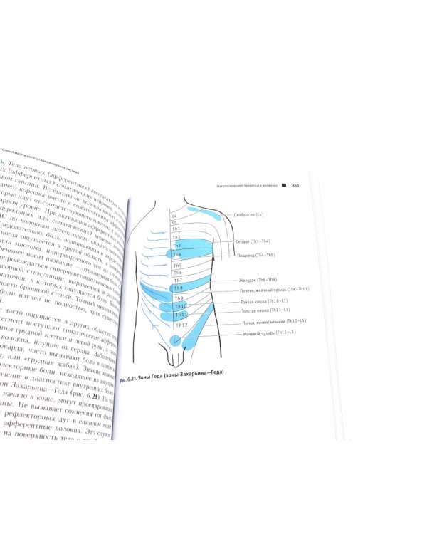 Топический диагноз в неврологии по Петеру Дуусу; Путеводитель по телу (комплект из 2-х книг)