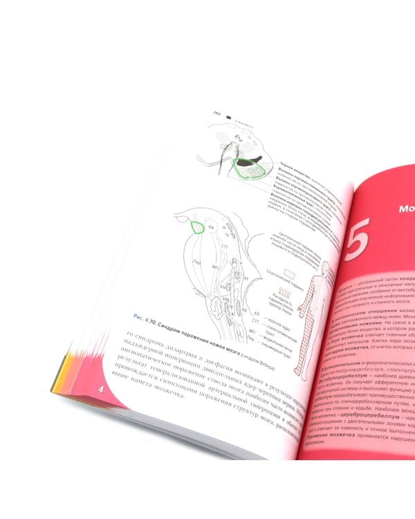 Топический диагноз в неврологии по Петеру Дуусу; Путеводитель по телу (комплект из 2-х книг)