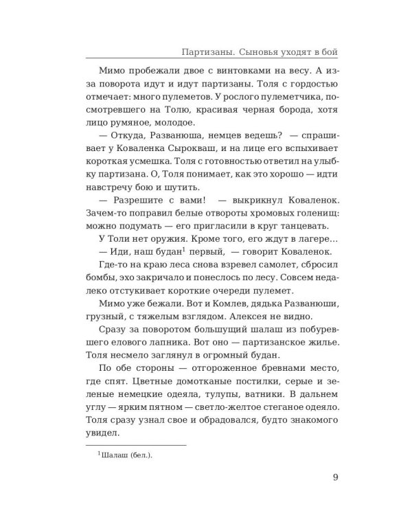 Партизаны. Сыновья уходят в бой