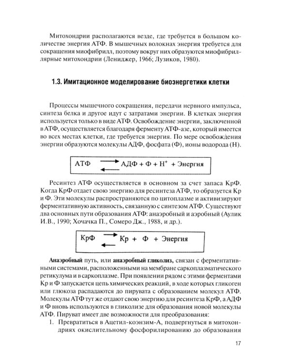 Физическая подготовка футболистов: Учебно-методическое пособие. 3-е изд