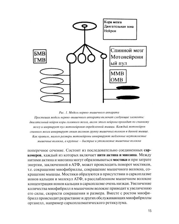 Физическая подготовка футболистов: Учебно-методическое пособие. 3-е изд