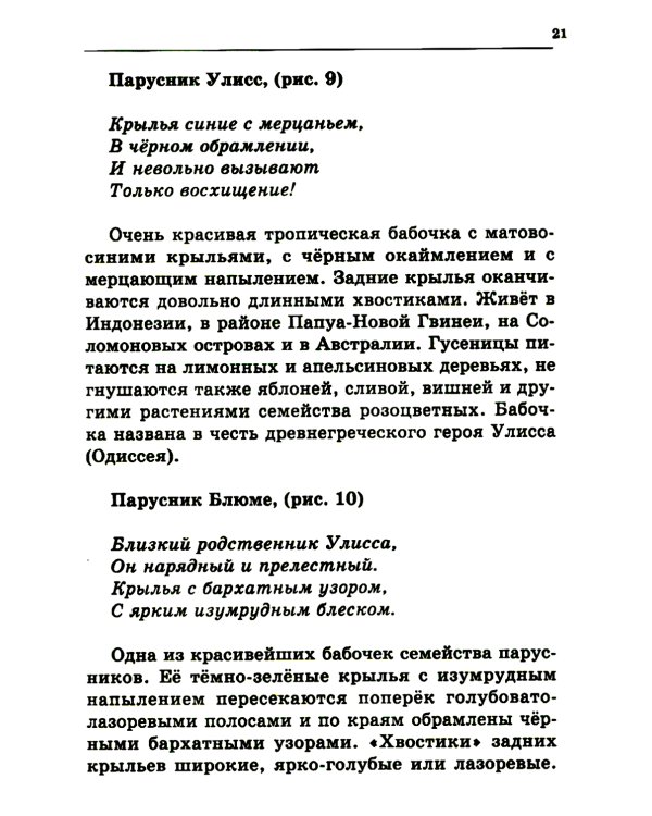 Удивительный мир бабочек