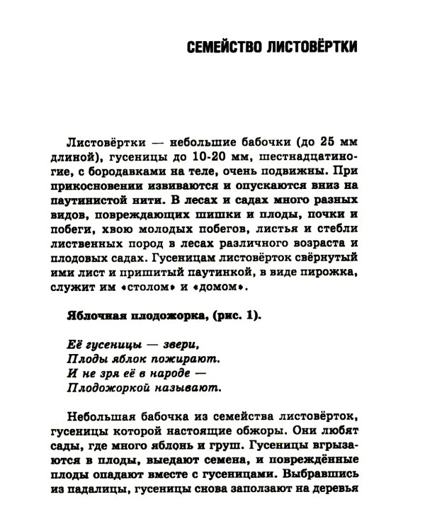 Удивительный мир бабочек