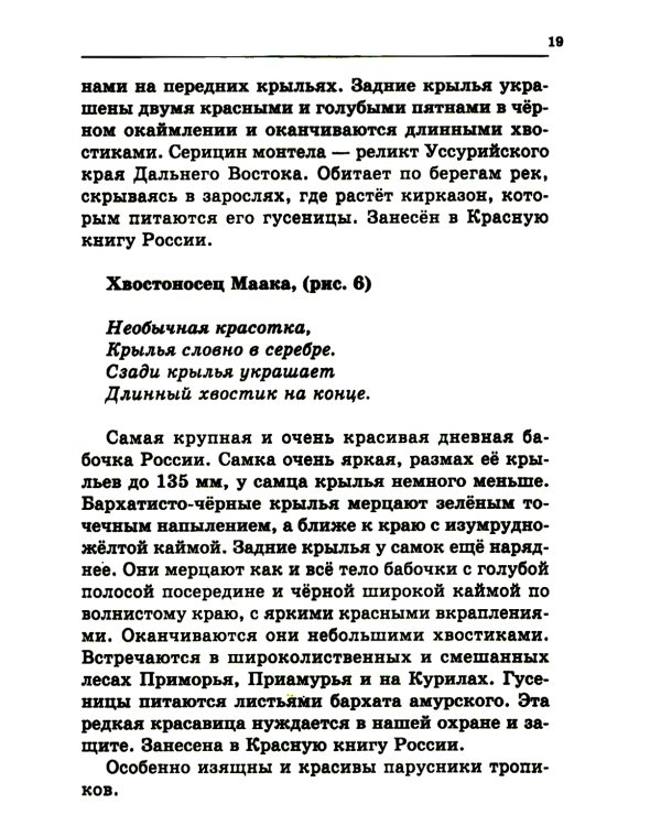 Удивительный мир бабочек