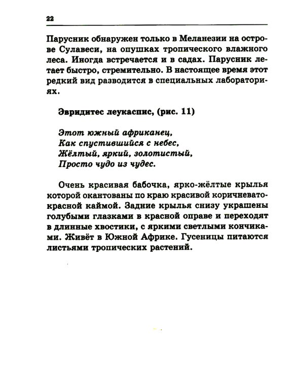 Удивительный мир бабочек