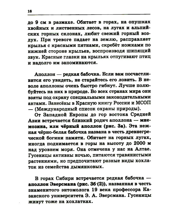 Удивительный мир бабочек