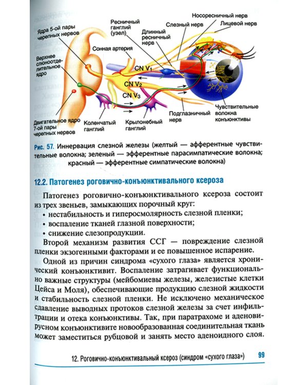 Конъюнктивиты