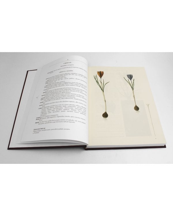 Сenturia plantarum rariorum Russiae meridionalis Ф.К. Биберштейна глазами молодых исследователей "Сириуса" через 200 лет