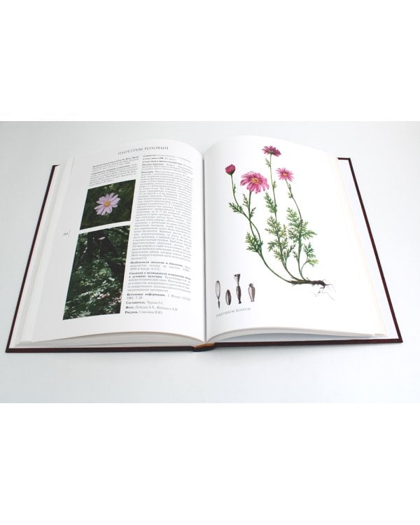 Сenturia plantarum rariorum Russiae meridionalis Ф.К. Биберштейна глазами молодых исследователей "Сириуса" через 200 лет