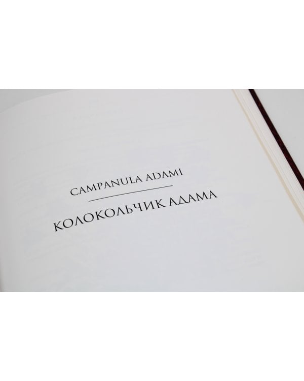 Сenturia plantarum rariorum Russiae meridionalis Ф.К. Биберштейна глазами молодых исследователей "Сириуса" через 200 лет