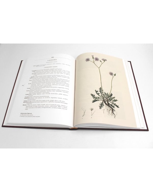 Сenturia plantarum rariorum Russiae meridionalis Ф.К. Биберштейна глазами молодых исследователей "Сириуса" через 200 лет