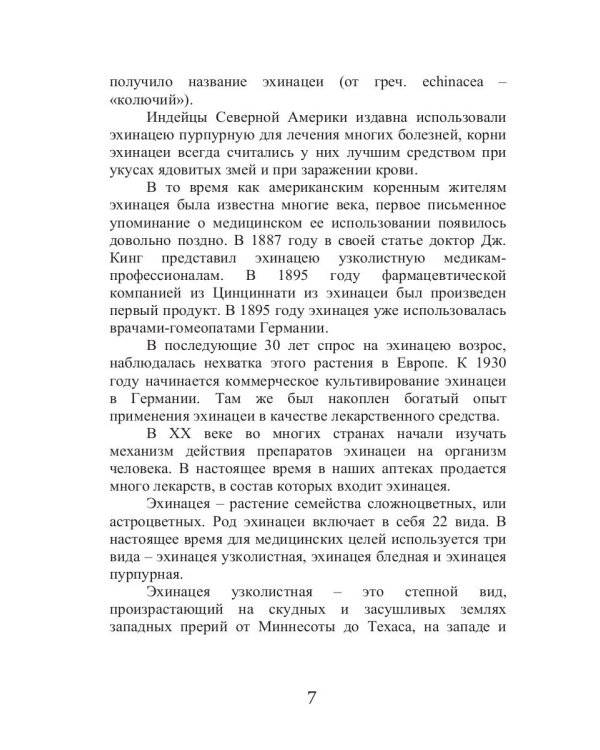 Эхинацея - ваша панацея