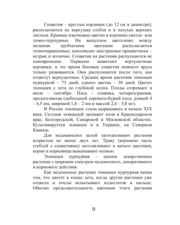 Эхинацея - ваша панацея