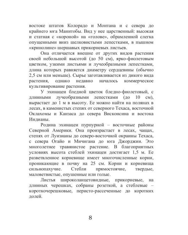 Эхинацея - ваша панацея