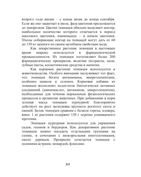 Эхинацея - ваша панацея