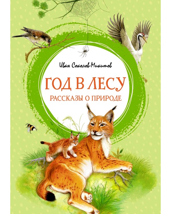 Год в лесу: рассказы о природе