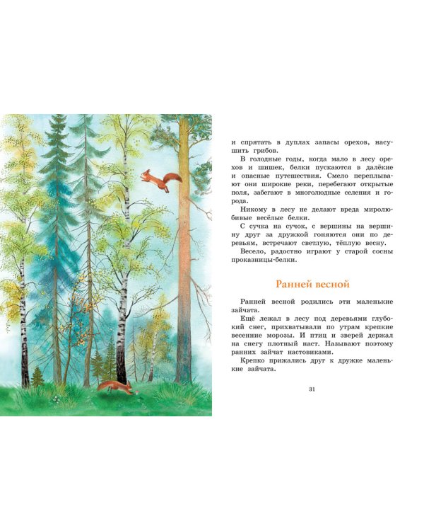 Год в лесу: рассказы о природе