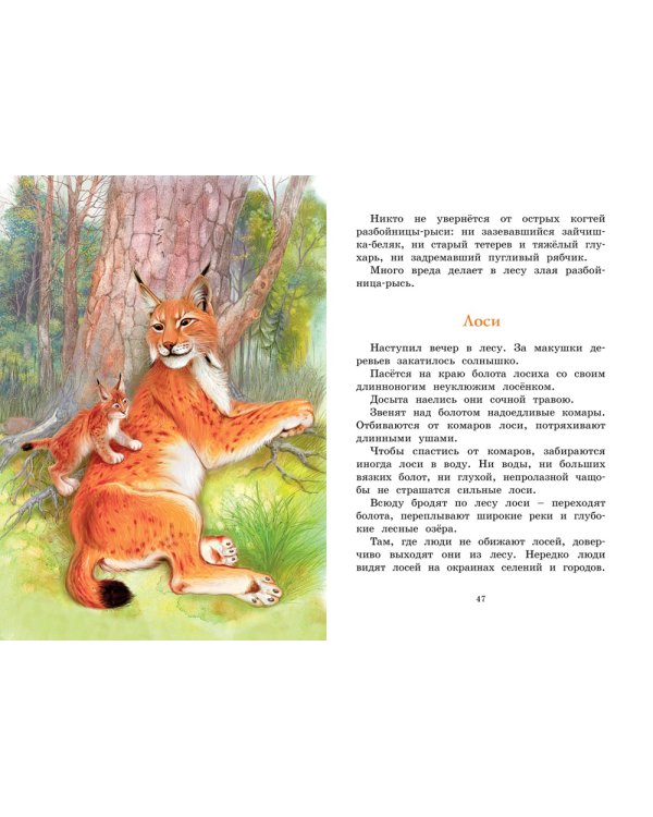 Год в лесу: рассказы о природе