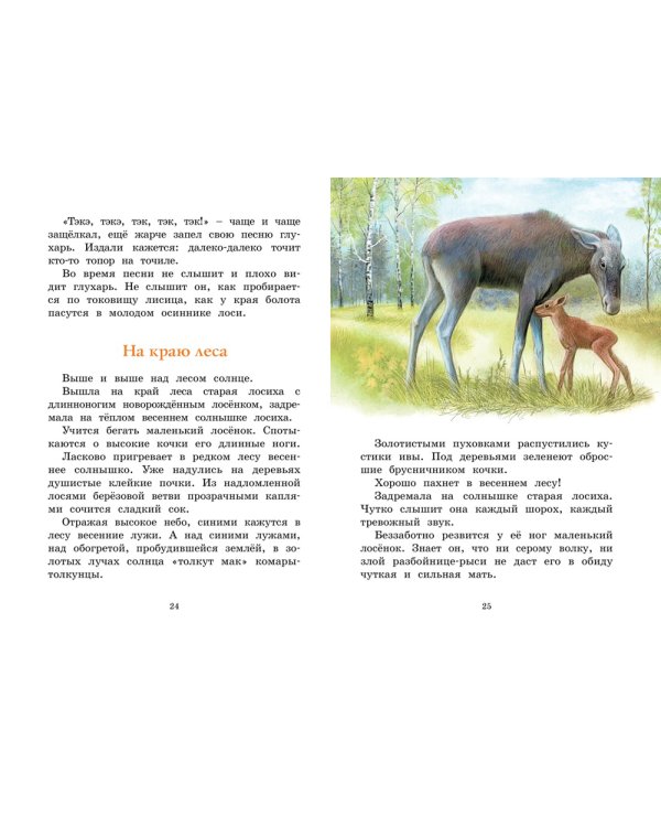 Год в лесу: рассказы о природе