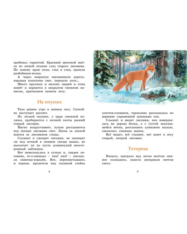 Год в лесу: рассказы о природе