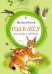 Год в лесу: рассказы о природе