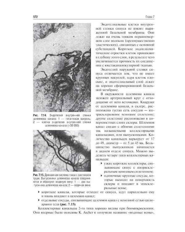 Клиническая анатомия органа зрения: Учебное пособие