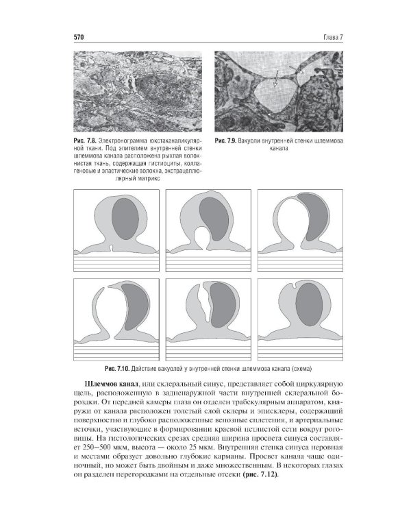 Клиническая анатомия органа зрения: Учебное пособие