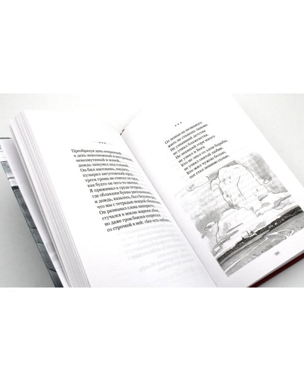 Душа безмолвия. Из выстраданного и пережитого