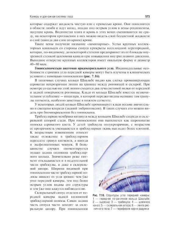 Клиническая анатомия органа зрения: Учебное пособие