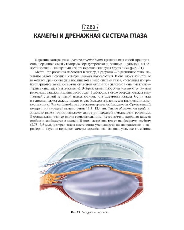 Клиническая анатомия органа зрения: Учебное пособие