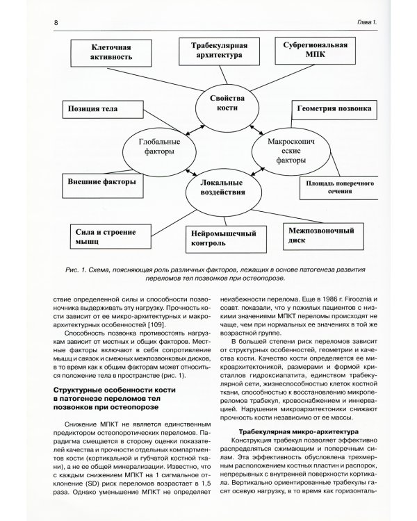 Переломы тел позвонков при остеопорозе. Клиника, диагностика, лечение