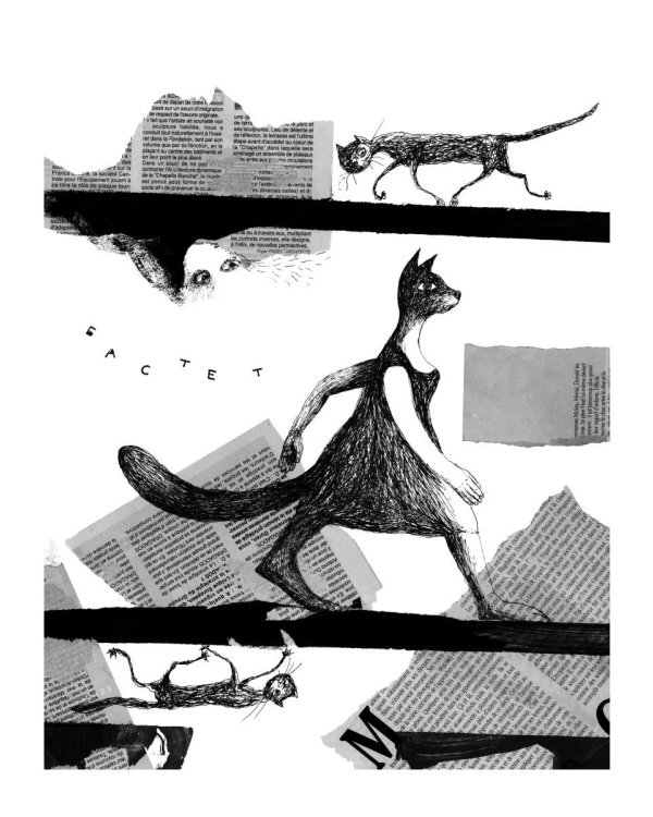 Приключения эрмитажных котов. Рыцарь, кот и балерина