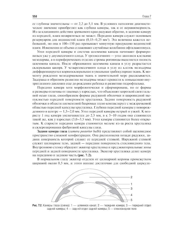 Клиническая анатомия органа зрения: Учебное пособие