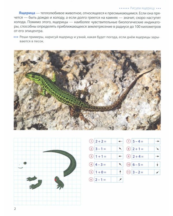 Шагаем по клеточкам. Графические диктанты с математическими примерами для детей 6-7 лет (Комплект из 2-х книг)