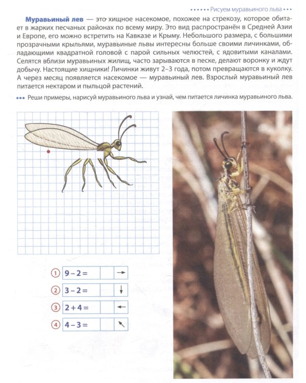 Шагаем по клеточкам. Графические диктанты с математическими примерами для детей 6-7 лет (Комплект из 2-х книг)