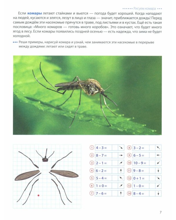 Шагаем по клеточкам. Графические диктанты с математическими примерами для детей 6-7 лет (Комплект из 2-х книг)