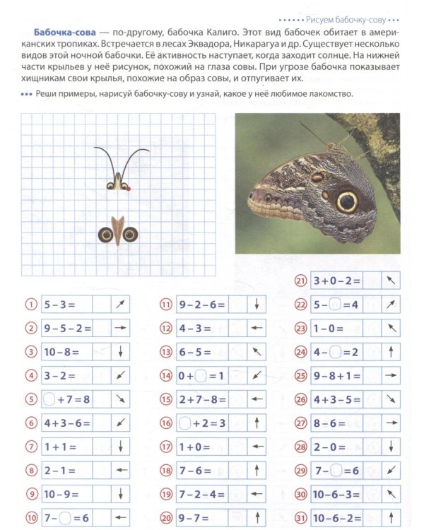 Шагаем по клеточкам. Графические диктанты с математическими примерами для детей 6-7 лет (Комплект из 2-х книг)