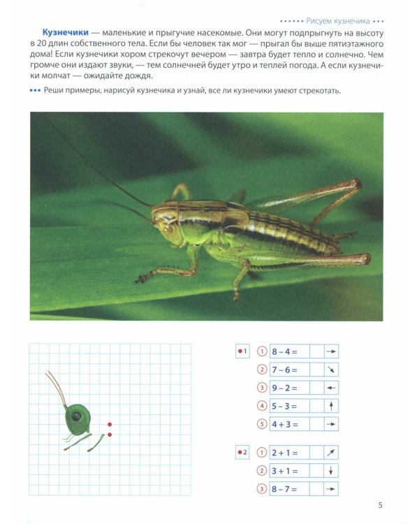 Шагаем по клеточкам. Графические диктанты с математическими примерами для детей 6-7 лет (Комплект из 2-х книг)