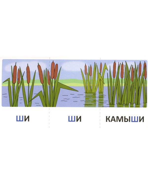 Набор речевых карточек с рисунками. Учебно-игровой комплект №5 (комплект из 4-х наборов карточек)