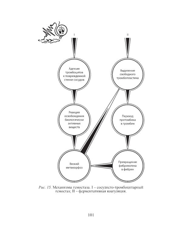 Клиническая физиология в анестезиологии и реаниматологии. 4-е изд