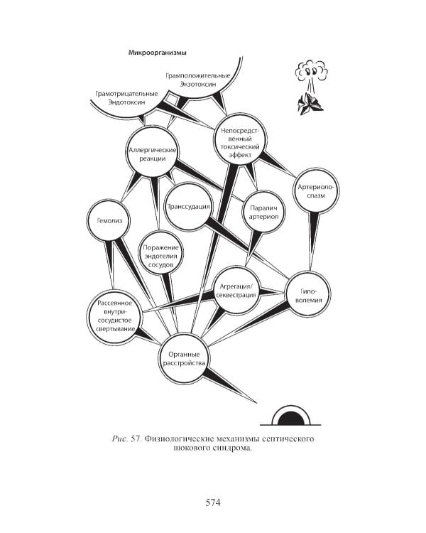 Клиническая физиология в анестезиологии и реаниматологии. 4-е изд