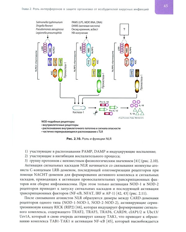 Интерфероны: роль в патогенезе, место в терапии и профилактике заболеваний вирусной и бактериальной этиологии