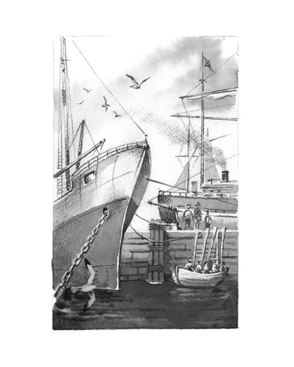 Томек в стране кенгуру и другие удивительные приключения